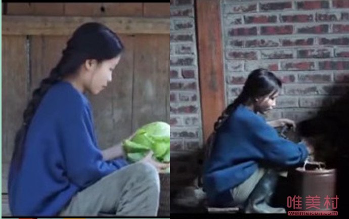 越南博主抄袭李子柒